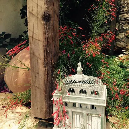 The White House * Kalkan