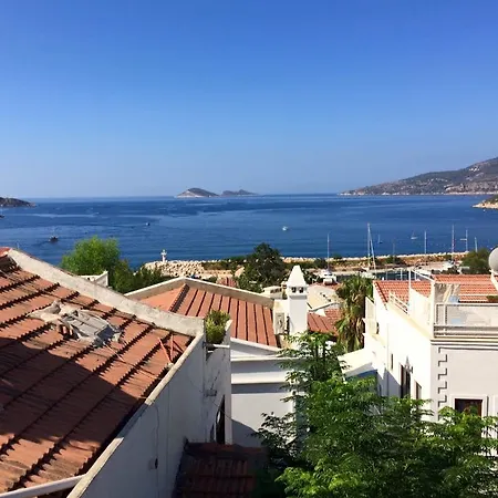 The White House * Kalkan
