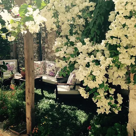 Bed & Breakfast The White House 3*