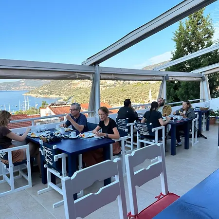 The White House 住宿加早餐酒店